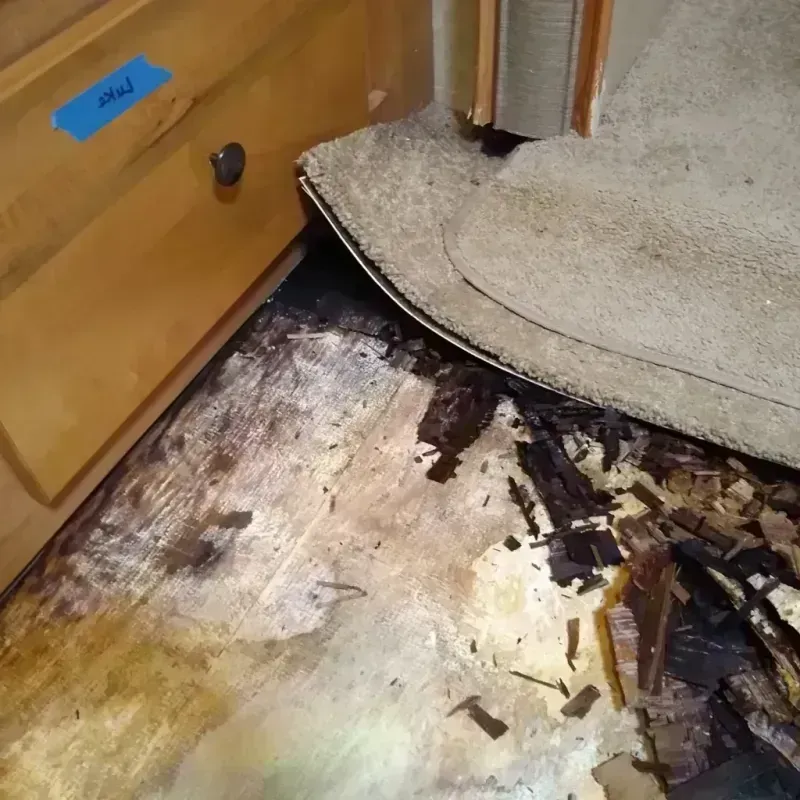 Wood Floor Water Damage in York, NE